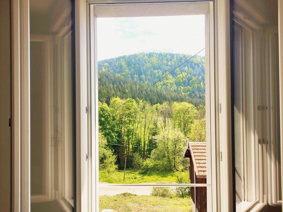 ⁂⁂ Le Grand Duc Appartement Cledicihome / Magnifique Vue Sur Les Montagnes / 4 Kms De Gerardmer ! ⁂⁂ Rochesson Eksteriør billede